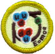 Picture of the Boy Scout Merrit Badge
